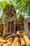 Mysterious ancient ruins of Ta Prohm temple in Angkor, Cambodia