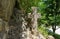 Mysterious ancient stone cross with runic symbols. Landmarks of Bran Castle, Romania