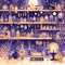 Mysterious Apothecary Store with Herbs & Potions