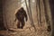 mysterious bigfoot sighting in the deep forest, generative AI illustration