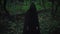 A mysterious black figure in a tunic and hood stands in the middle of a dark forest. Witch and evil in the forest.