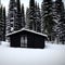 Mysterious cabin in the lonely woods, old rustic wooden cottage, nature, landscape, generative ai