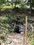 A mysterious cave entrance leading underground with a sign beside it that warns to not enter in spanish and english.