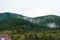 Mysterious coniferous forest with large green fir trees outside big white fog. outdoors. sky is covered with thick gray