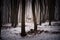 Mysterious creepy foggy forest covered with glaze ice and rime