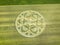 Mysterious crop circle found in Buren an der Aare, Switzerland