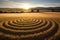 mysterious crop circle patterns in a sunlit field