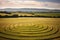 mysterious crop circle patterns in a sunlit field