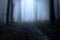 Mysterious dark silhouette in the forest during fog