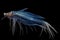 mysterious deep-sea squid with elongated tentacles