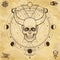 Mysterious drawing: horned skull, sacred geometry, space symbols.