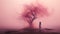 Mysterious Encounter: Lost In A Pink Fog