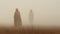 Mysterious Figure In Brown Hat Walking Through Foggy Field