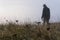 A mysterious figure standing out of focus with a shallow depth of field in the background. With a close up of plants, misty