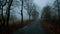Mysterious foggy landscape with broad leaf trees along asphalt road at autumn/fall