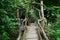 Mysterious footbridge in to a forest