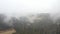 Mysterious forest covered by low clouds in autumn.