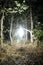 Mysterious Glowing Object Hovering in Forest Glade