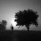 Mysterious greyscale shot of a male walking in a foggy scary field