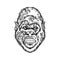 Mysterious horror zombie gorilla head monochrome