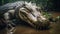 Mysterious Jungle: Captivating Tilt-shift Photography Of An Asian Crocodile