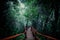 Mysterious landscape of foggy forest with wooden bridge