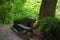 Mysterious landscape view of winding cobblestone trail with ancient wooden bench