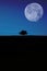 Mysterious Lonely tree on the horizon. Contrast silhouette . The top is light, the bottom is dark. concept minimalist good and