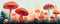 Mysterious magical mashrooms in wide banner. Fantasy mushroom