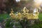 mysterious and magical photo of gold king crown over the stone covered with moss in the England woods or field landscape with