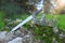 mysterious and magical photo of silver king crown and sword over the stone in the England woods or field landscape with light