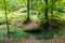 Mysterious meadow in the forest with chaotic, large rocks strewn over mossy trees and a stream of green water flowing