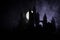 Mysterious medieval castle in a misty full moon. Abandoned gothic style old castle at night