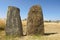 Mysterious megalithic Tiya pillars, UNESCO World Heritage Site, Ethiopia.