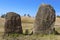 Mysterious megalithic Tiya pillars, UNESCO World Heritage Site, Ethiopia.