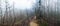 Mysterious misty December landscape in the forest . Leningrad region