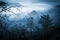 Mysterious misty morning over Biertan village, Transylvania, Romania