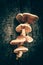 Mysterious mushrooms grow on burnt tree trunk, halloween concept, vertical view