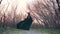 Mysterious mythical creature slowly walks through forest with bare trees, lady in long green emerald flying dress with