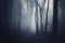 Mysterious night in forest on Halloween with fog