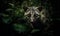 Mysterious Nocturnal Hunter Photo of civet cat captured in its natural habitat nestled among the dense foliage of a tropical