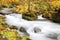 Mysterious Oirase Stream flowing through the autumn forest in Towada Hachimantai National Park in Aomori