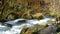 Mysterious Oirase Stream flowing through the autumn forest in Towada Hachimantai National Park in Aomori Japan