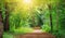 Mysterious pathway in the deciduous park area in summer.