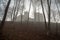 Mysterious Povazsky hrad castle ruins above Povazska Bystrica city in Slovakia