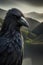 mysterious raven stand alone with blurry background