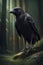 mysterious raven stand alone with blurry background