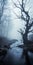 Mysterious Realism: Black Spooky Forest On A Foggy Rainy Day