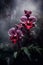 Mysterious Red and Violet Orchids