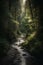 Mysterious river in the forest. Nature composition. Toned.